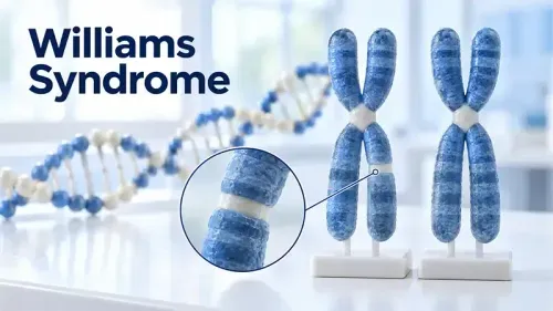 Williams Syndrome